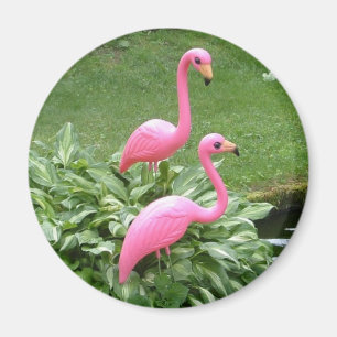 PINK FLAMINGOS-Magnet (rund) Magnet