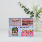 Pink Flamingos Postcard Postkarte (Stehend Vorderseite)