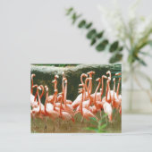 Pink Flamingos Postcard Postkarte (Stehend Vorderseite)