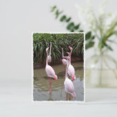 Pink Flamingos Postkarte (Stehend Vorderseite)