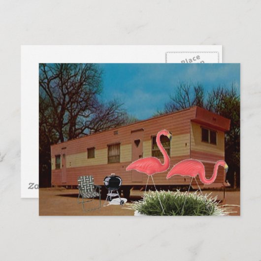 Pink Flamingos Postkarte (Vorne/Hinten)