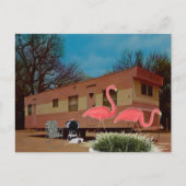 Pink Flamingos Postkarte (Vorderseite)
