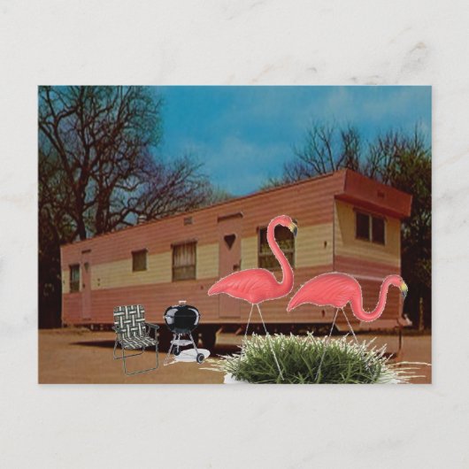 Pink Flamingos Postkarte (Vorderseite)
