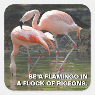 Pink Flamingos Sticker