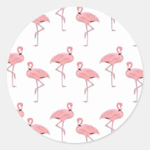 Pink Flamingos Tropical Coastal Beach Thema