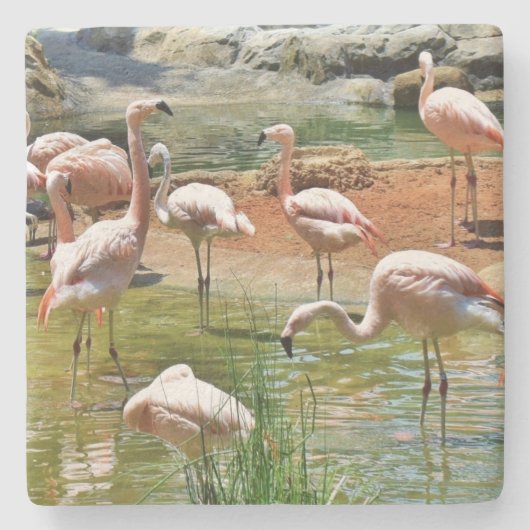 Pink Flamingos Untersetzer (Vorderseite)