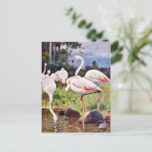 Pink Flamingos Vintage Illustration Postkarte (Stehend Vorderseite)