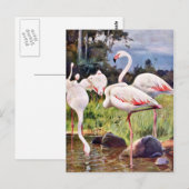 Pink Flamingos Vintage Illustration Postkarte (Vorne/Hinten)