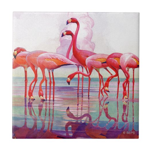 Pink Flamingos von Francis Lee Jaques Fliese (Vorderseite)