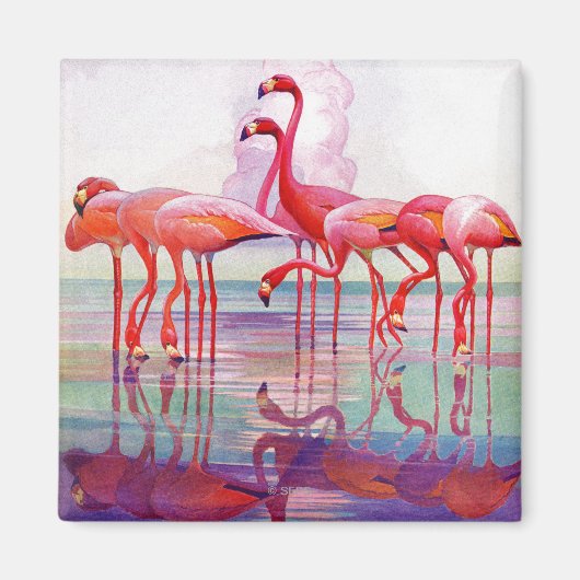 Pink Flamingos von Francis Lee Jaques Magnet (Vorne)
