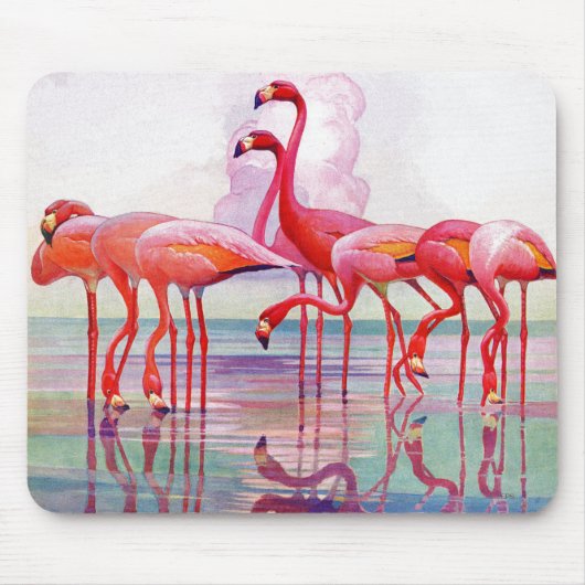 Pink Flamingos von Francis Lee Jaques Mousepad (Vorne)