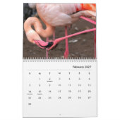 Pink Flamingos Wall Calendar Kalender (Feb 2027)