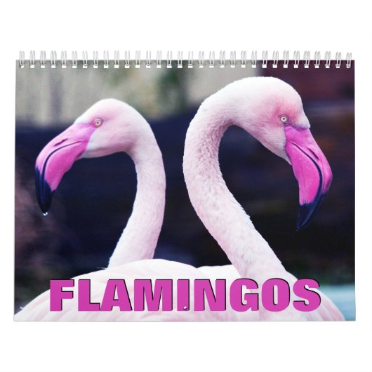 Pink Flamingos Wall Calendar Kalender (Titelbild)