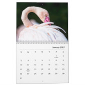 Pink Flamingos Wall Calendar Kalender (Jan 2027)