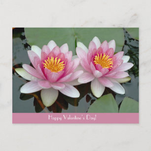 Pink Floating Waterlily LotusValentive's Day Card Feiertagspostkarte