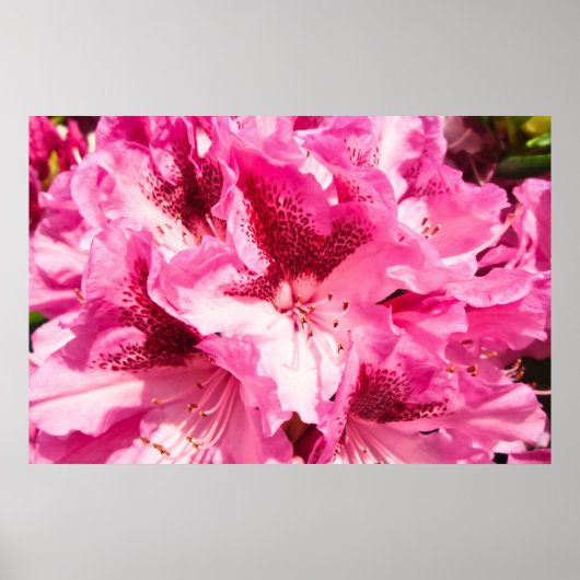 Pink Floral Bliss - Personalisiert Poster (Vorne)