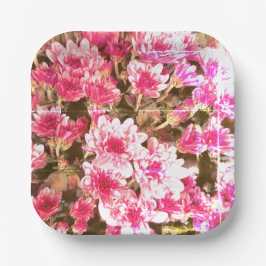 Pink Floral Bloom Pattern – Soft Botanical Design Pappteller (Vorderseite)