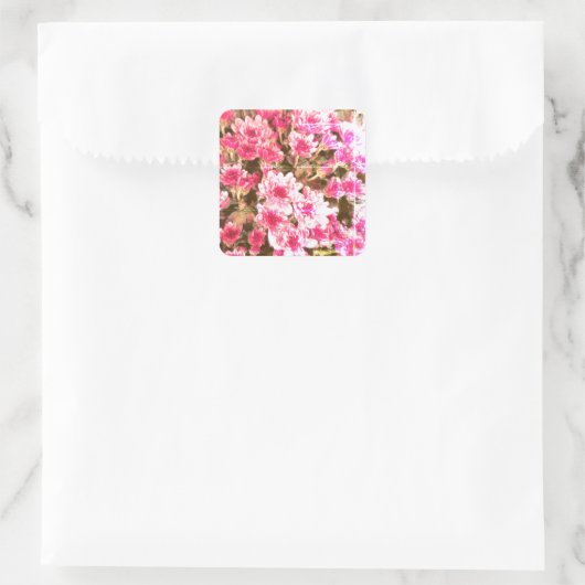 Pink Floral Bloom Pattern – Soft Botanical Design Quadratischer Aufkleber (Tasche)
