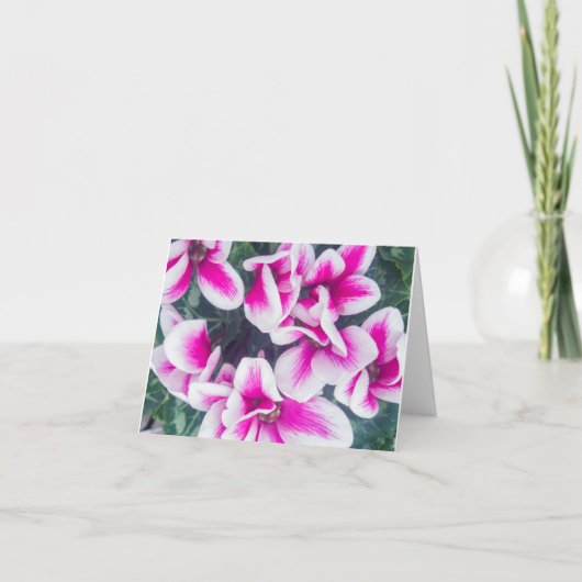 Pink Floral Cyclamen Fotonotecard Karte (Vorderseite)