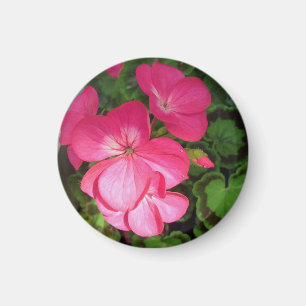 Pink Floral Fotografie Magnet