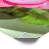 Pink Floral Fotografie Poster (Ecke)
