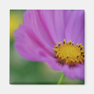 Pink Floral Magnet