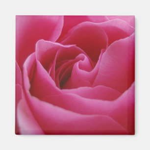 Pink Floral Magnet