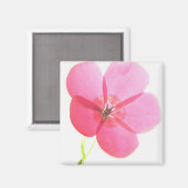Pink Floral Magnet (Vorderseite/Rückseite)
