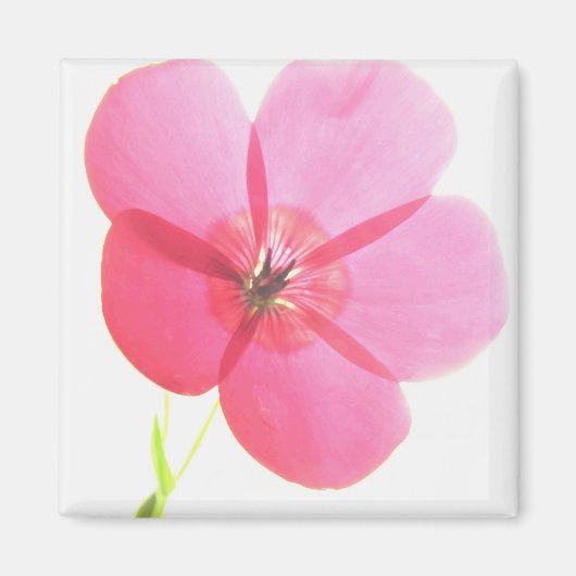 Pink Floral Magnet (Vorne)