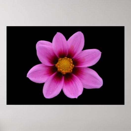 Pink Floral Poster (Vorne)