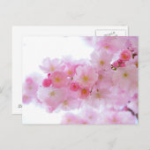 Pink Floral Postkarte (Vorne/Hinten)