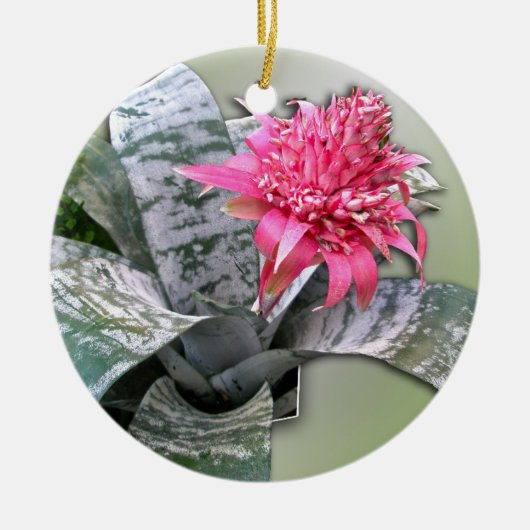 Pink Flower Bromeliad Keramikornament (Vorne)