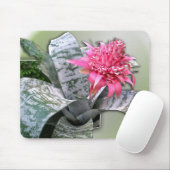 Pink Flower Bromeliad Mousepad (Mit Mouse)