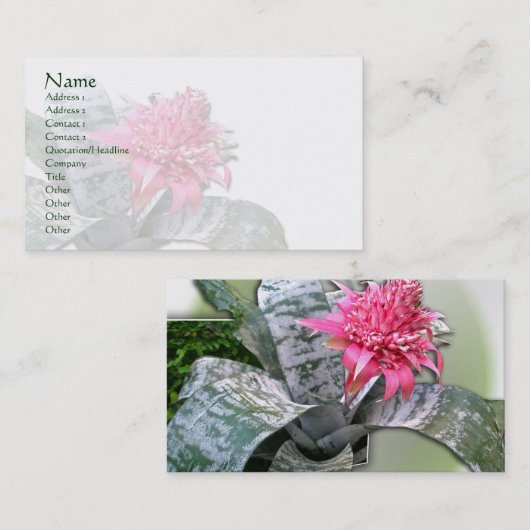 Pink Flower Bromeliad Visitenkarte (Vorne/Hinten)