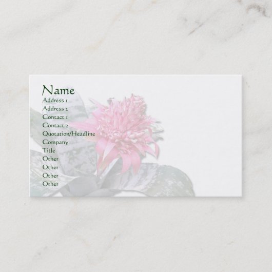 Pink Flower Bromeliad Visitenkarte (Vorderseite)