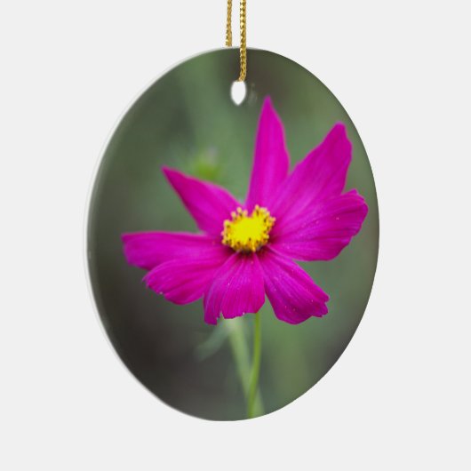 Pink Flower Ornament  (Rechts)
