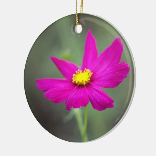 Pink Flower Ornament  (Links)