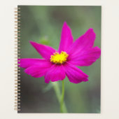 Pink Flower Planner Planer (Vorderseite)