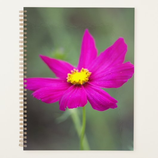 Pink Flower Planner Planer (Vorderseite)