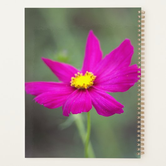 Pink Flower Planner Planer (Rückseite)