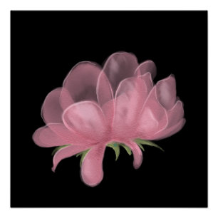 Pink Flower Poster