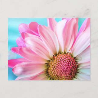 Pink flower postkarte