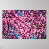 PINK FLOWERED TREM POSTER (Vorne)