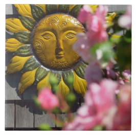 Pink Flowers and Sun - Martha's Vineyard Fliese