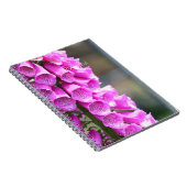 Pink Foxglove Flowers (my photography) Notizblock (Rechte Seite)
