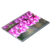 Pink Foxglove Flowers (my photography) Notizblock (Linke Seite)