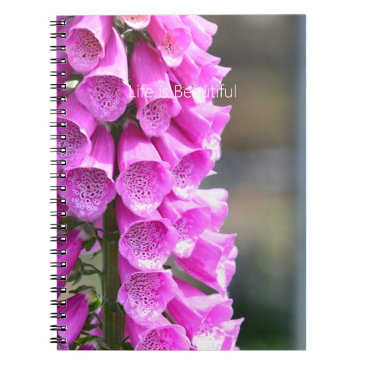 Pink Foxglove Flowers (my photography) Notizblock (Vorderseite)
