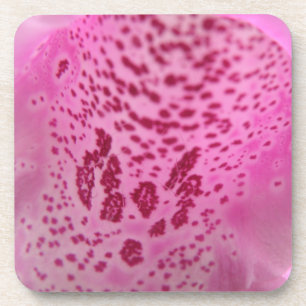 Pink Foxglove Petal Cork Untersetzer