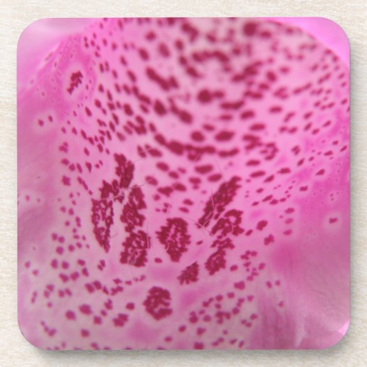 Pink Foxglove Petal Cork Untersetzer (Vorderseite)