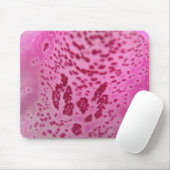 Pink Foxglove Petal Mousepad (Mit Mouse)